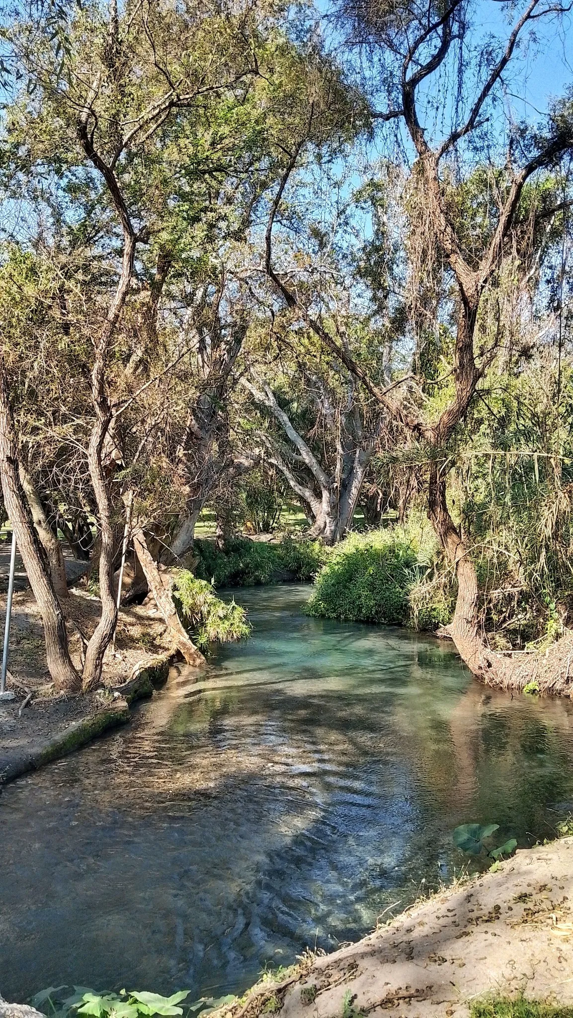 Balneario Los Sauces