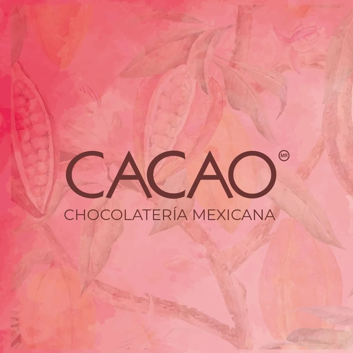Cacao Chocolateria Cuernavaca
